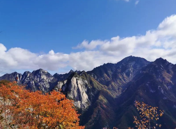 10月23日西安六大祖庭-终南山茅棚-法门寺5天